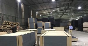 Công ty cổ phần tre gỗ Tiến Bộ